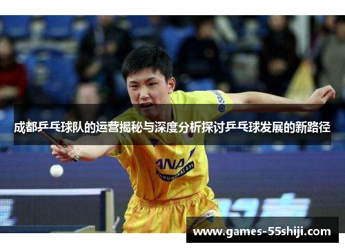 成都乒乓球队的运营揭秘与深度分析探讨乒乓球发展的新路径