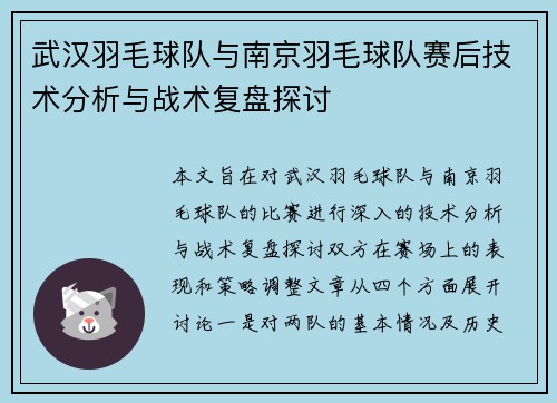 武汉羽毛球队与南京羽毛球队赛后技术分析与战术复盘探讨